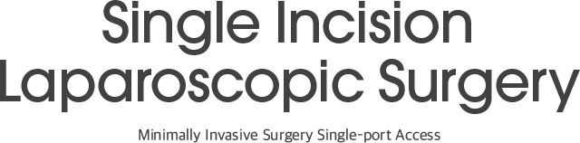 Single Incision Laparoscopic Surgery