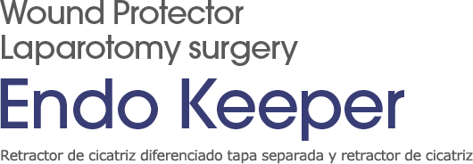 Single port laparoscopic surgery - Endo Keeper
